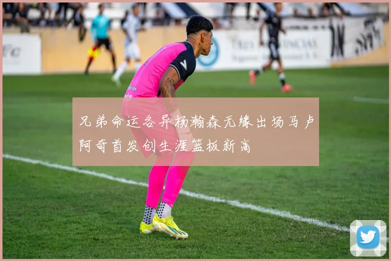 兄弟命运各异杨瀚森无缘出场马卢阿奇首发创生涯篮板新高