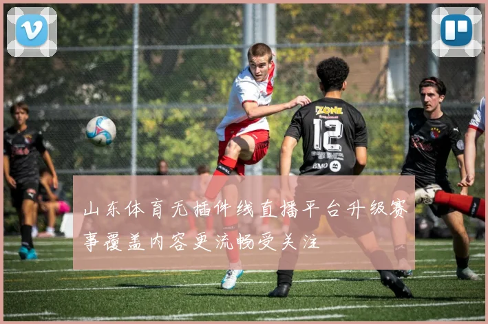 山东体育无插件线直播平台升级赛事覆盖内容更流畅受关注