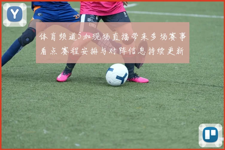 体育频道5加现场直播带来多场赛事看点 赛程安排与对阵信息持续更新