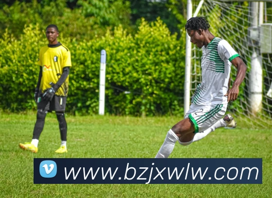 九游ag网页版直接进入平台生态图